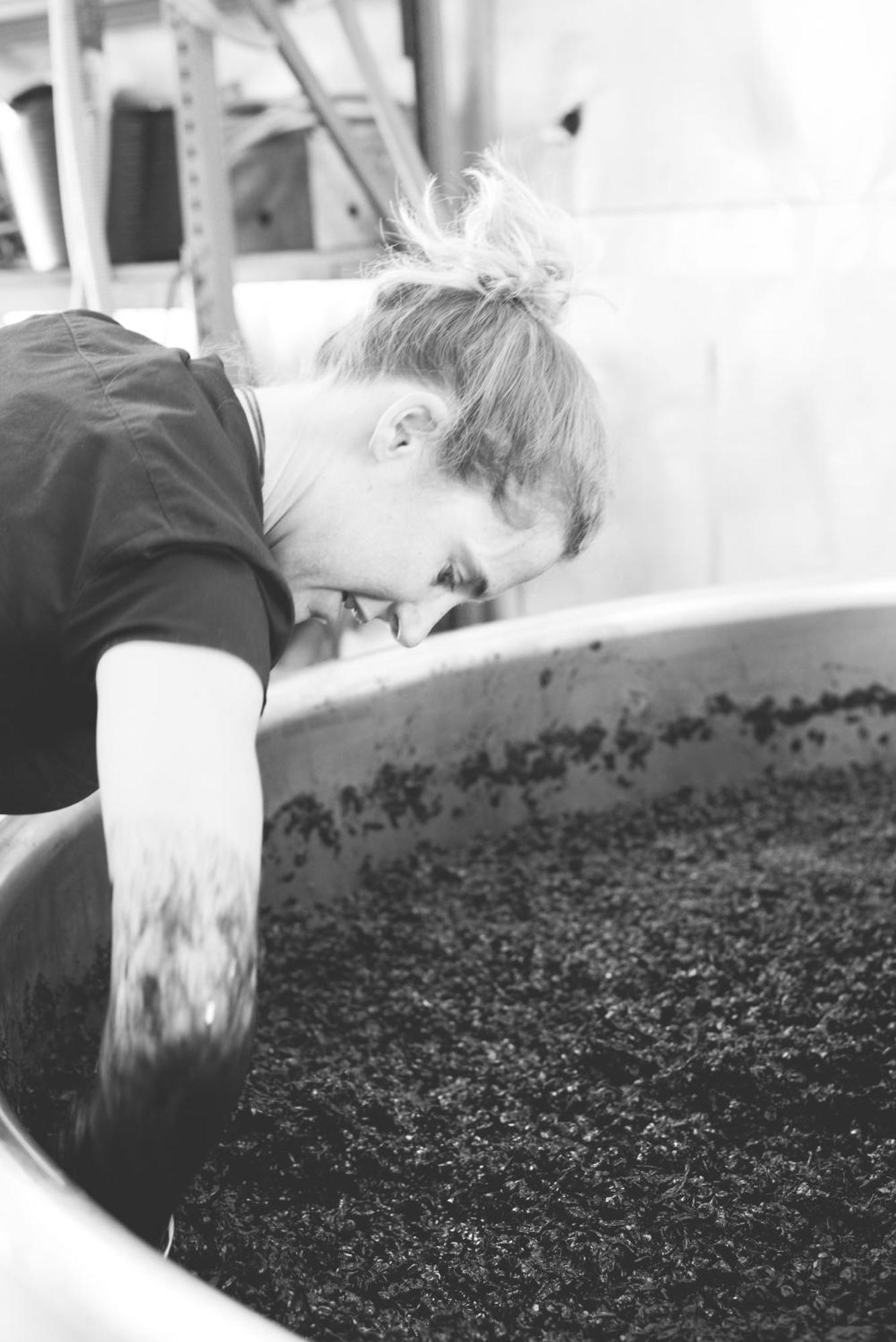 ホテル Tranquil Vale Vineyard Luskintyre エクステリア 写真