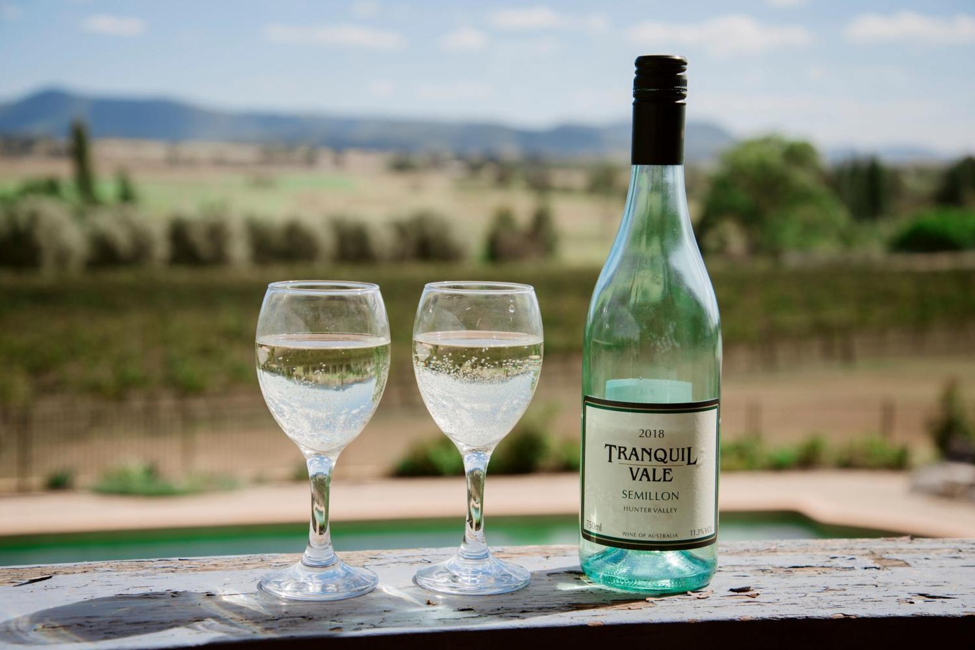 ホテル Tranquil Vale Vineyard Luskintyre エクステリア 写真