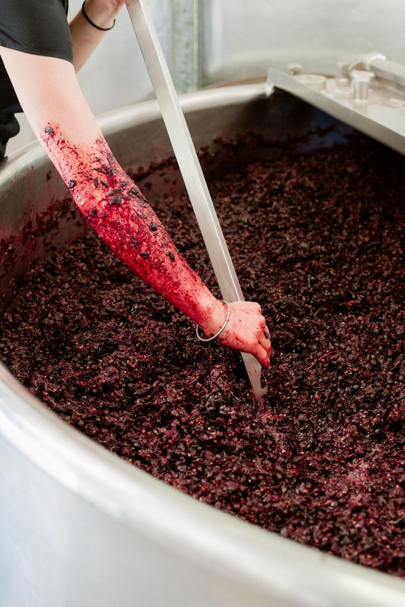 ホテル Tranquil Vale Vineyard Luskintyre エクステリア 写真