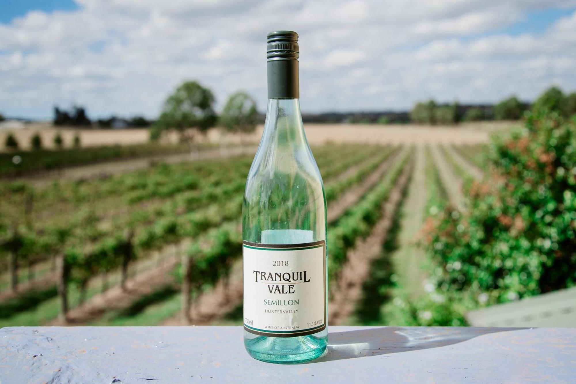 ホテル Tranquil Vale Vineyard Luskintyre エクステリア 写真