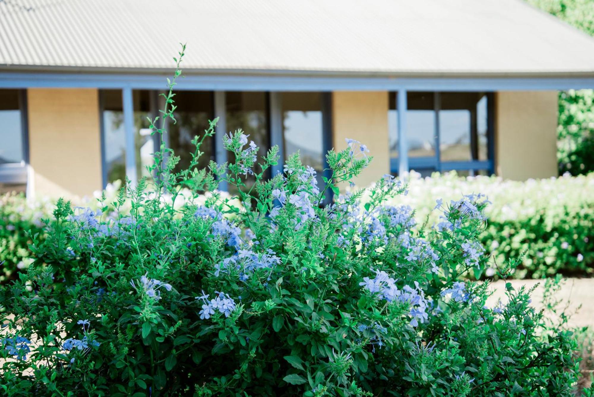ホテル Tranquil Vale Vineyard Luskintyre エクステリア 写真
