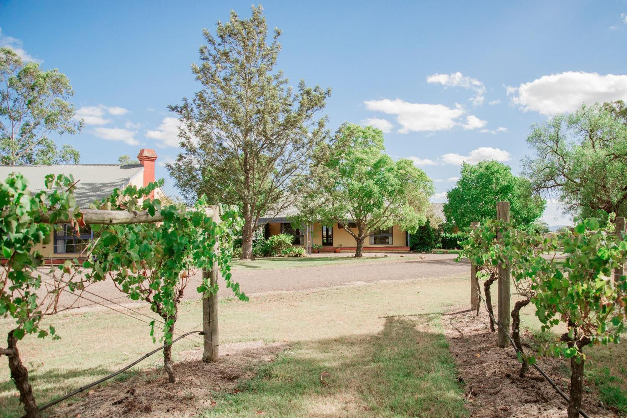 ホテル Tranquil Vale Vineyard Luskintyre エクステリア 写真