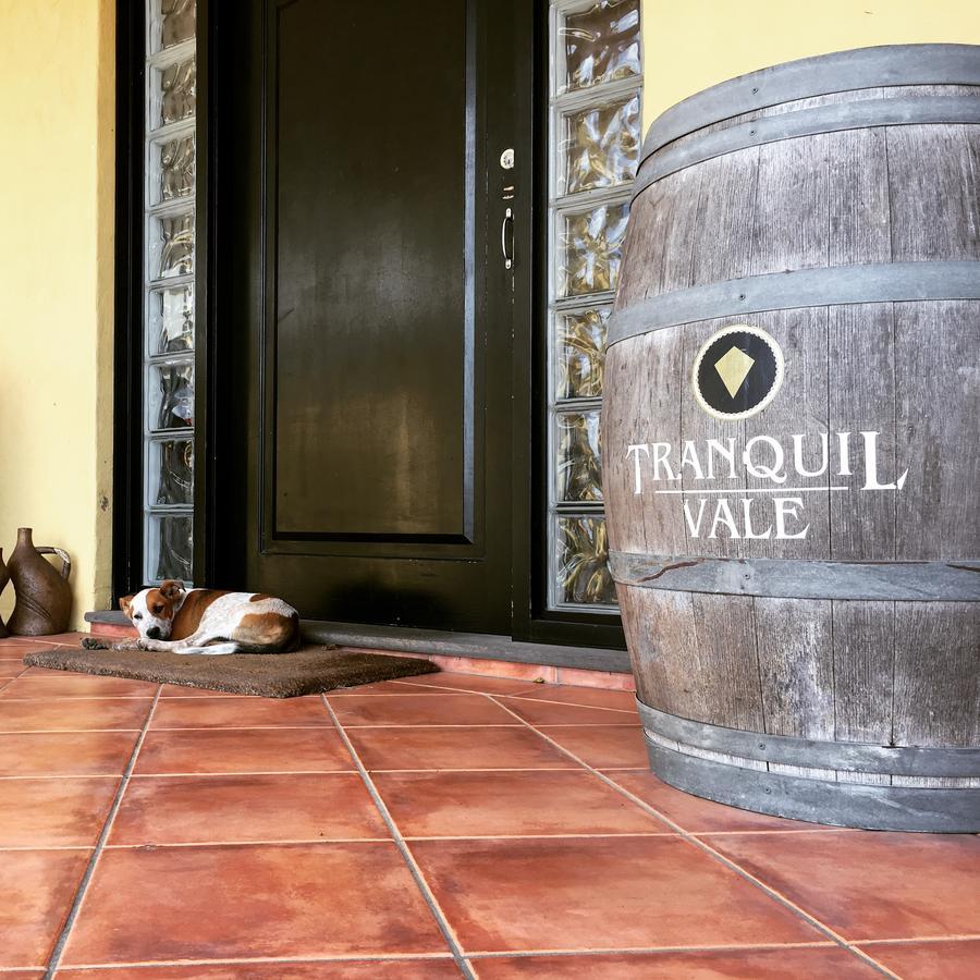 ホテル Tranquil Vale Vineyard Luskintyre エクステリア 写真