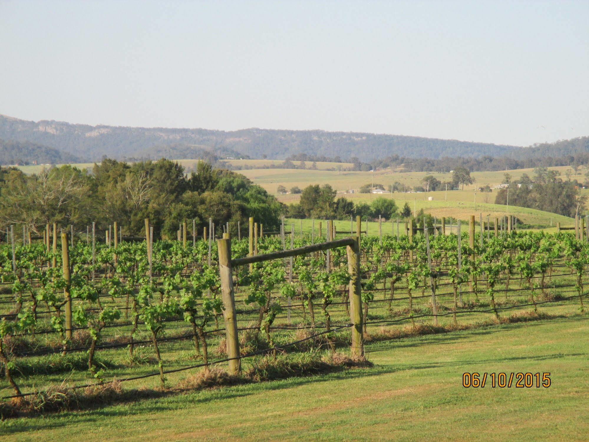 ホテル Tranquil Vale Vineyard Luskintyre エクステリア 写真