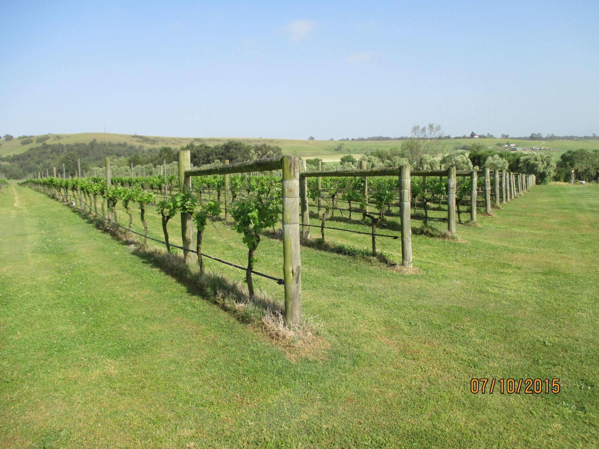 ホテル Tranquil Vale Vineyard Luskintyre エクステリア 写真