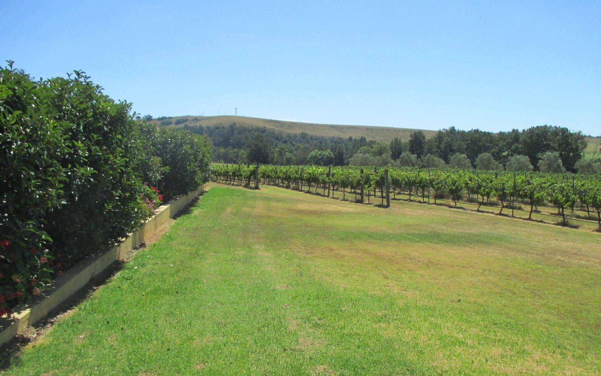 ホテル Tranquil Vale Vineyard Luskintyre エクステリア 写真